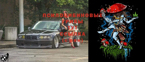 бутират Алзамай
