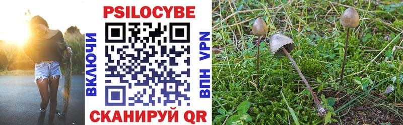 Галлюциногенные грибы Magic Shrooms  Могоча 