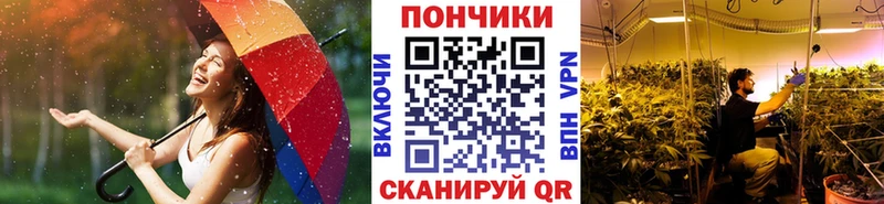 где можно купить наркотик  МЕГА ТОР  Марихуана тримм  Могоча 